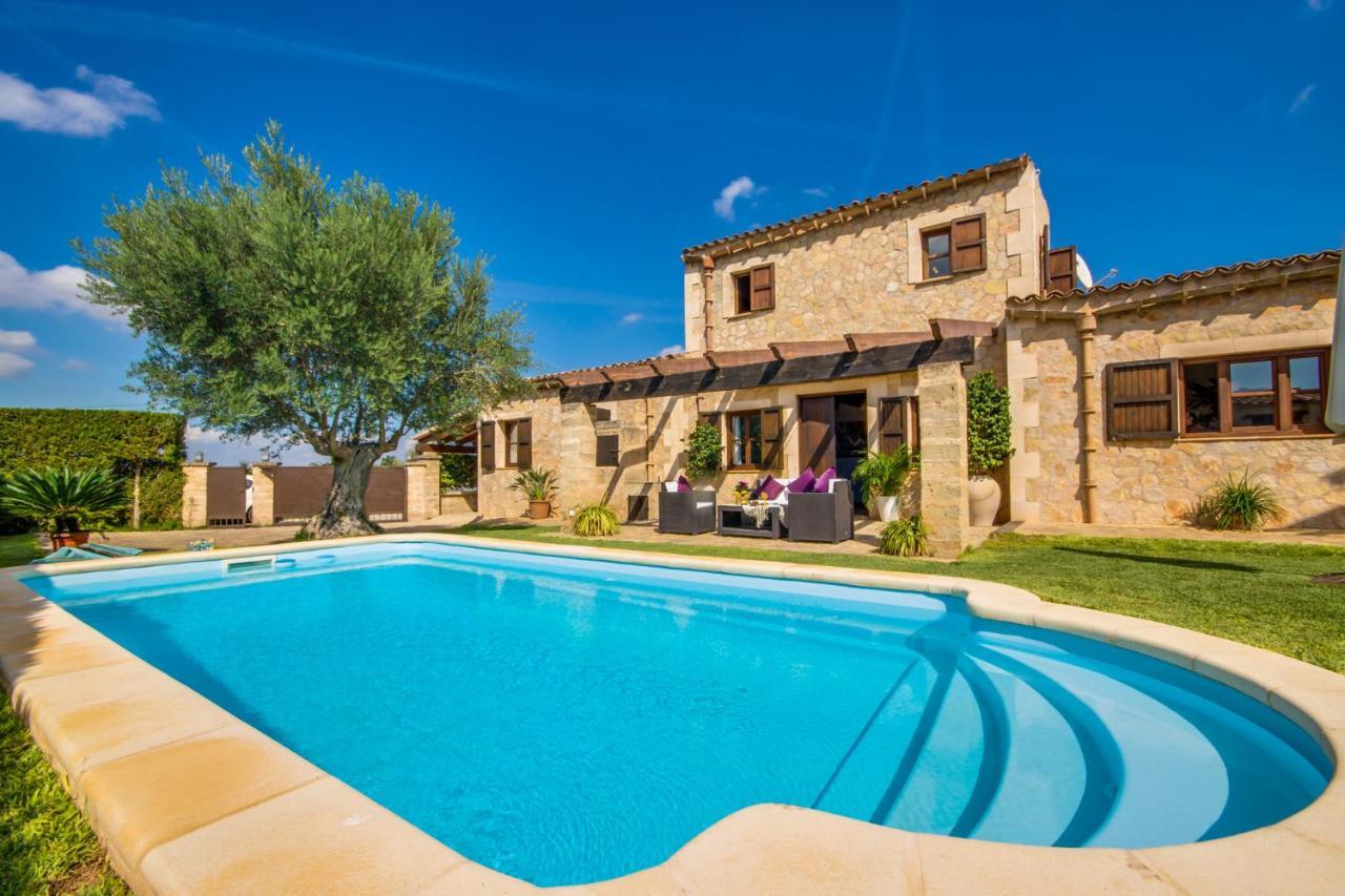 Ideal Property Mallorca - Es Puput 佩特拉 外观 照片