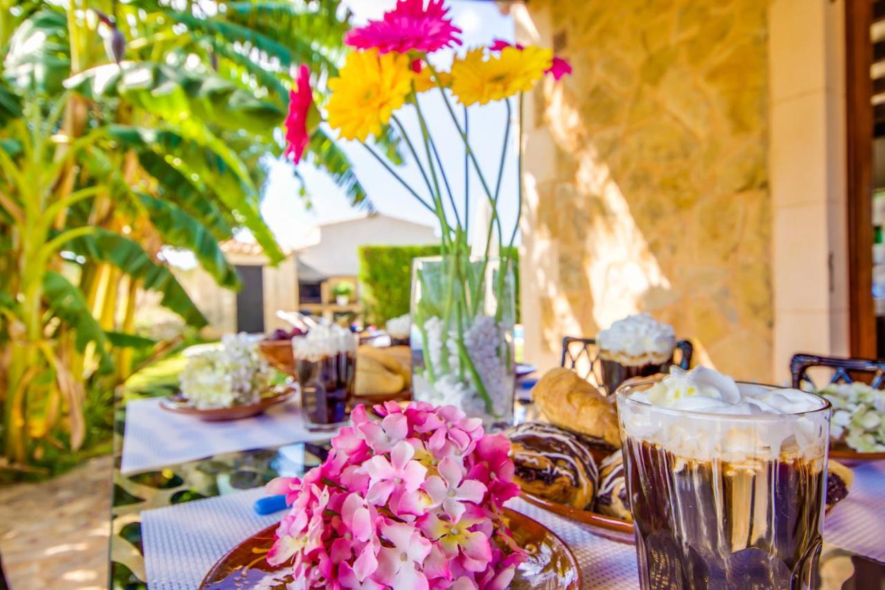 Ideal Property Mallorca - Es Puput 佩特拉 外观 照片