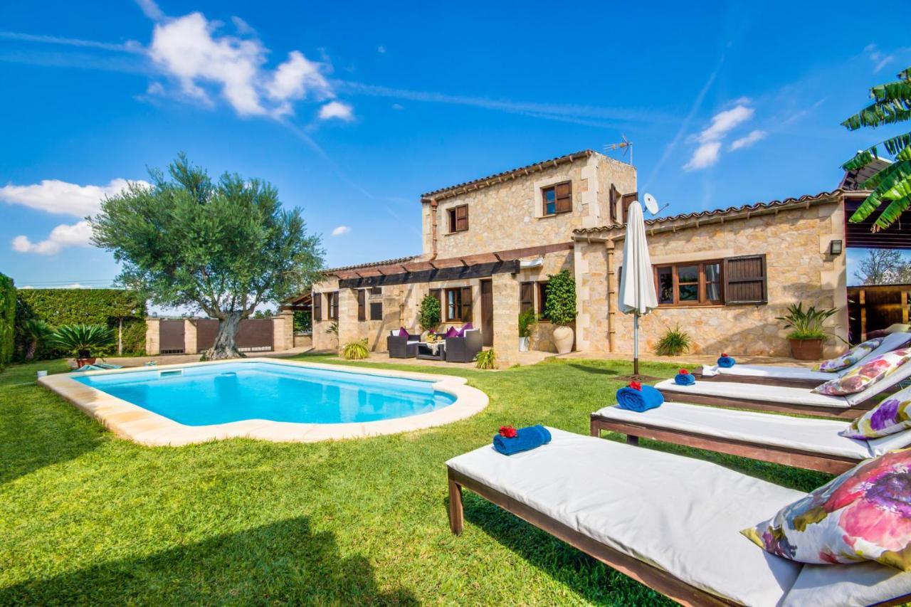 Ideal Property Mallorca - Es Puput 佩特拉 外观 照片