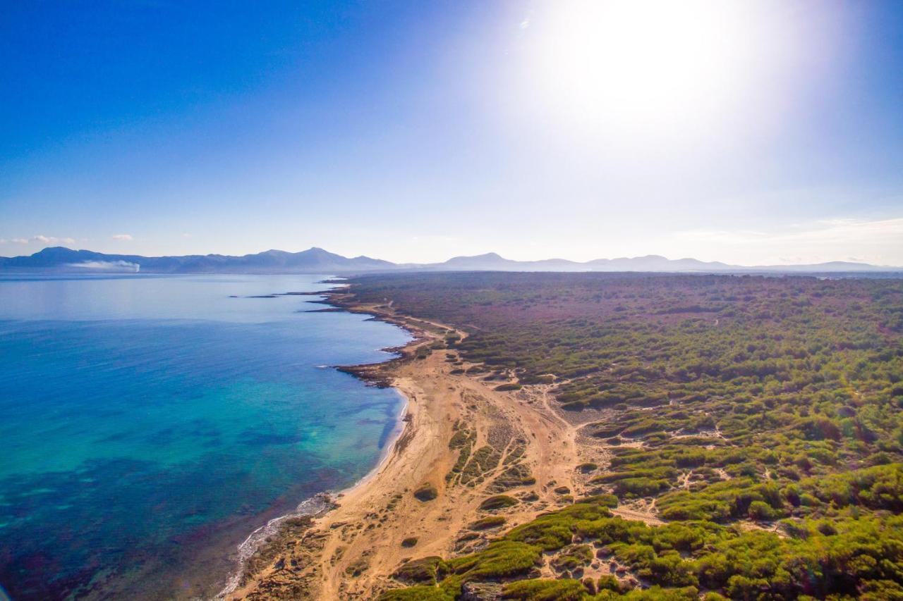 Ideal Property Mallorca - Es Puput 佩特拉 外观 照片