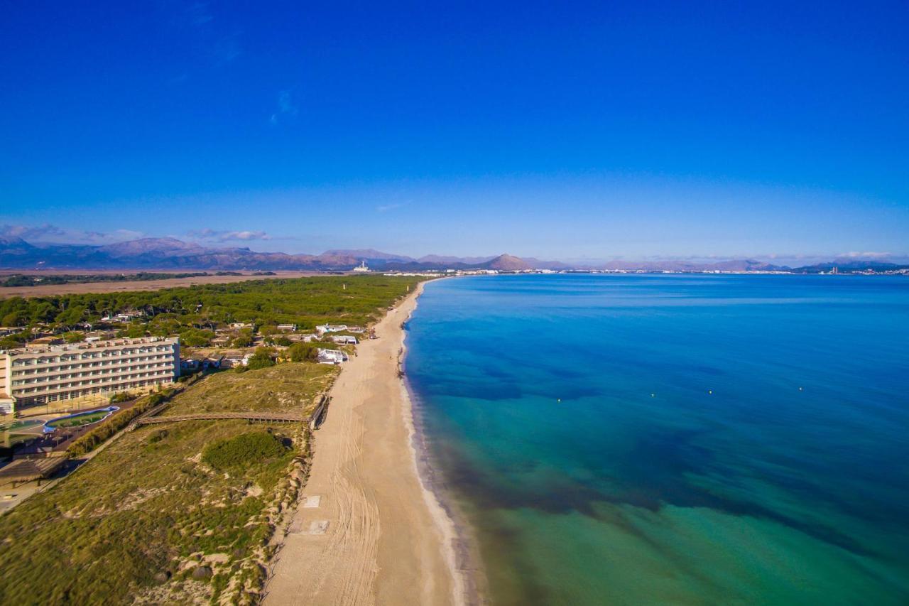 Ideal Property Mallorca - Es Puput 佩特拉 外观 照片